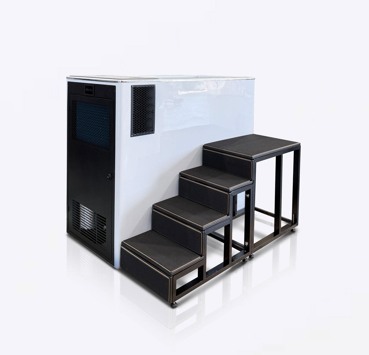 MiPod External Steps - iCoolsport