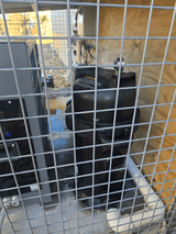Stainless Steel, Wooden Clad Cold Plunge Almost Square Pool inc Turbo Typhoon Chiller